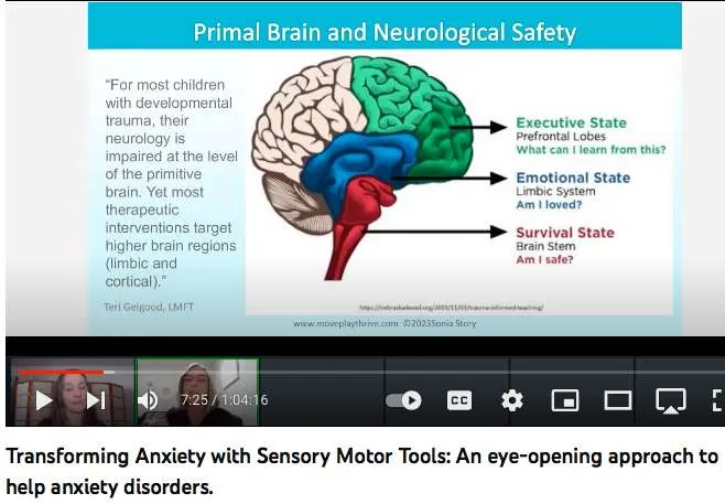 Evidence eBook, Innate Rhythmic Movements and Primitive Reflex Integration: Research, Rationale, and Case Reports