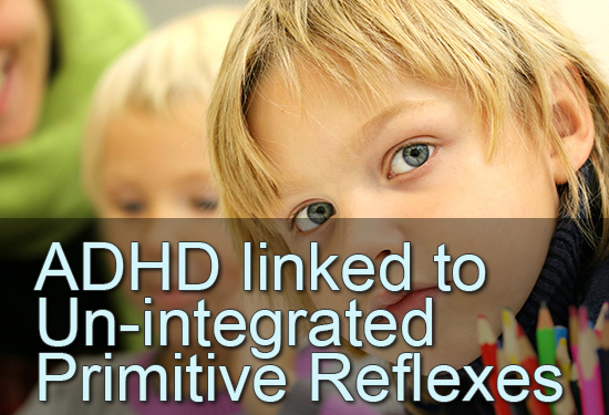 ADHD linked to Un-integrated Primitive Reflexes