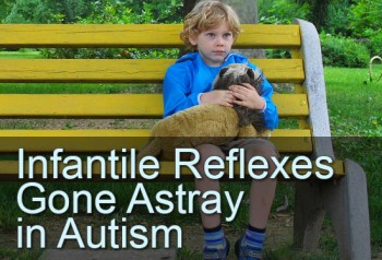 Infantile Reflexes Gone Astray in Autism 